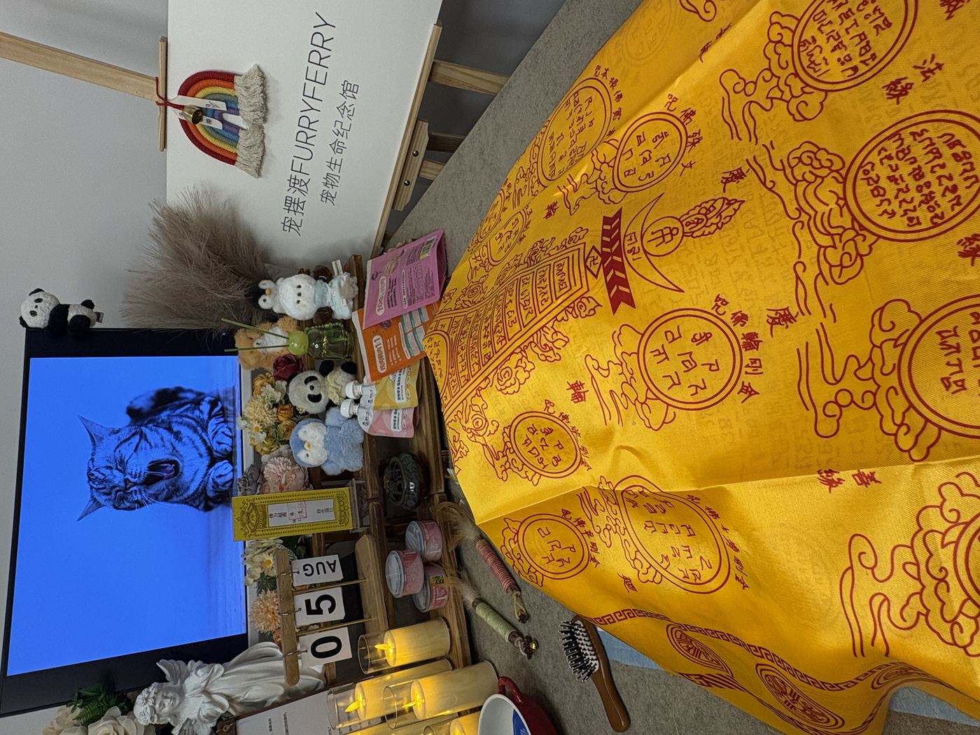 不同体型宠物的费用差异