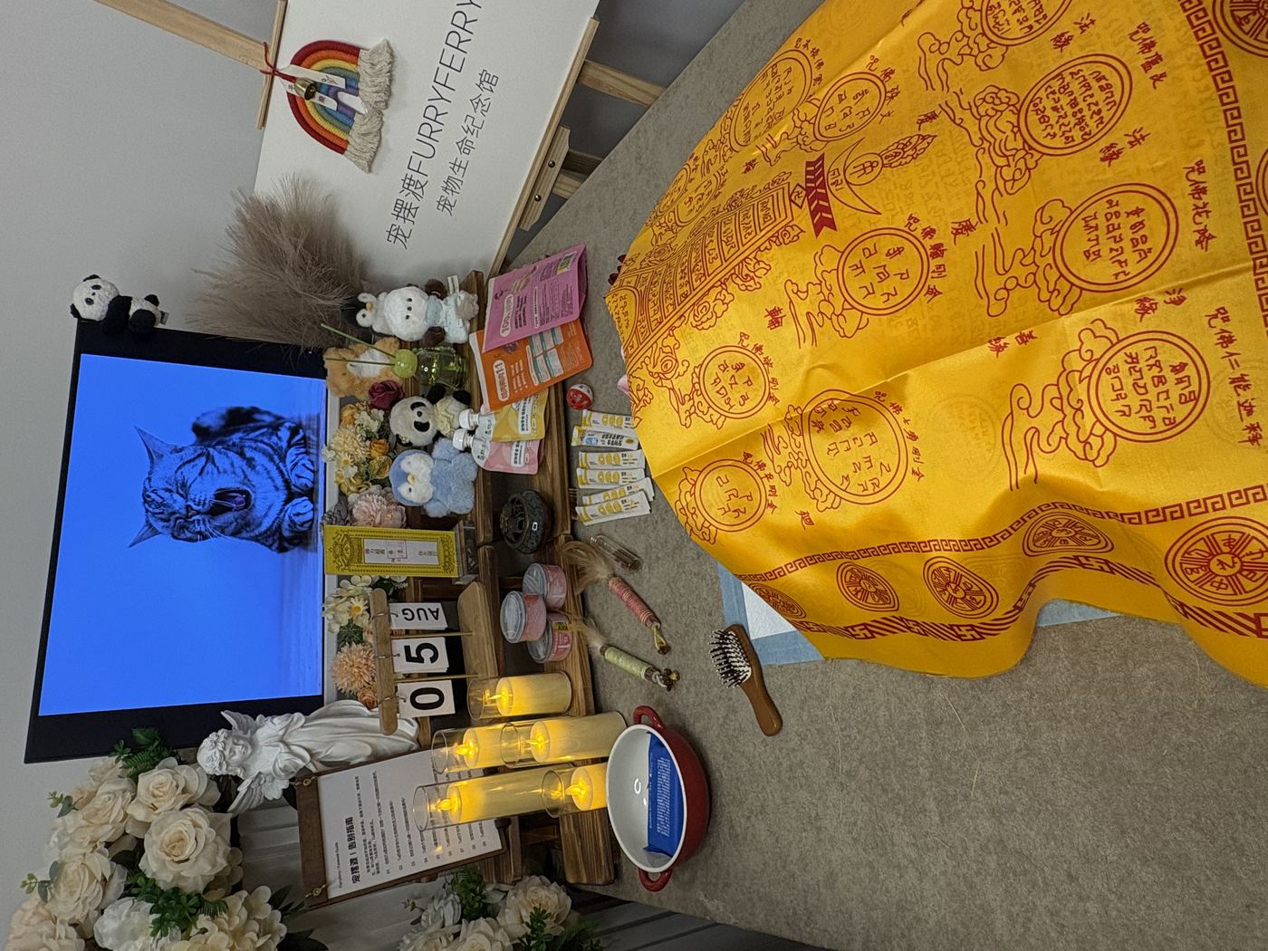 家人自带的物品清单