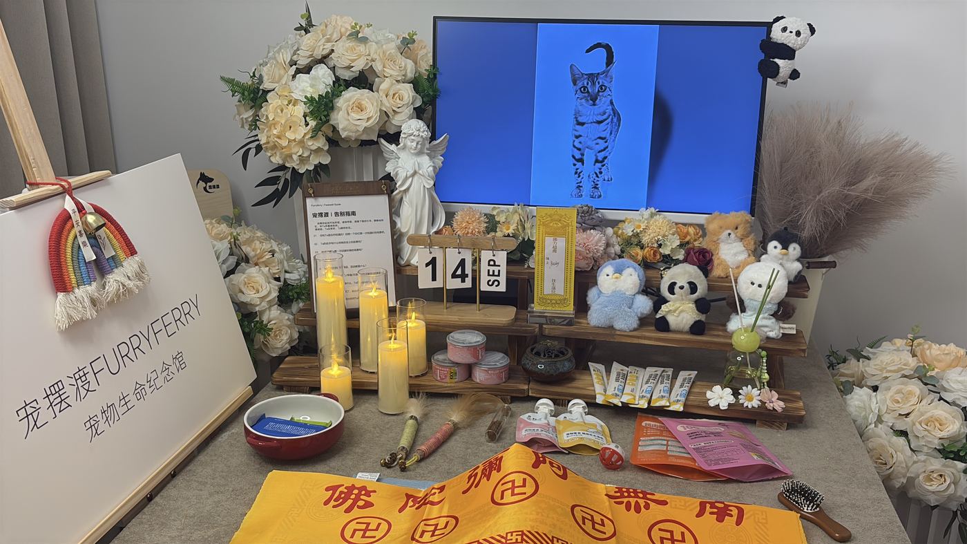留下关于它的记录