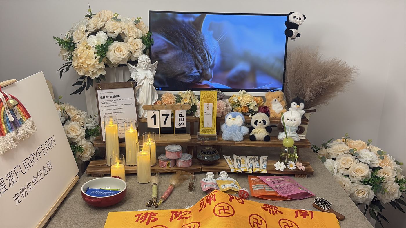 金华宠物告别厅