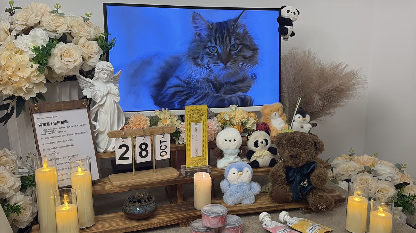 二、每一笔钱花在哪里
